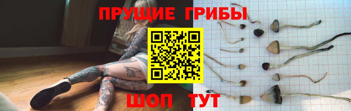 Златоуст  Псилоцибиновые грибы прущие грибы  Вход с VPN 